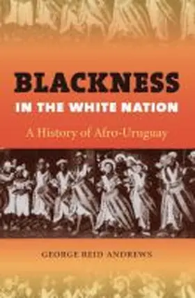 Andrews |  Blackness in the White Nation | Buch |  Sack Fachmedien