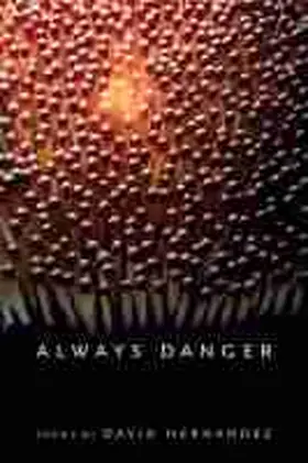 Hernandez |  Always Danger | Buch |  Sack Fachmedien