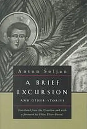 Soljan |  A Brief Excursion and Other Stories | Buch |  Sack Fachmedien