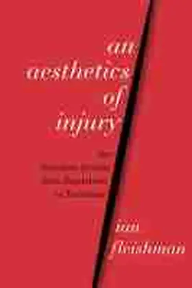 Fleishman |  An Aesthetics of Injury | Buch |  Sack Fachmedien