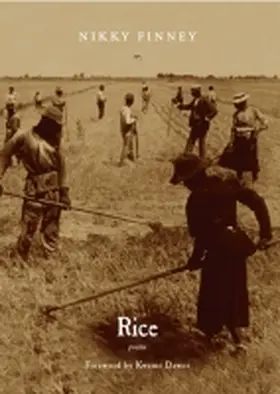 Finney |  Rice | Buch |  Sack Fachmedien