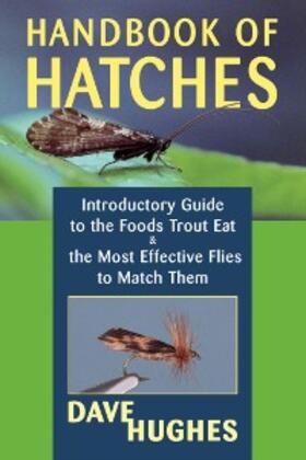 Hughes |  Handbook of Hatches | eBook | Sack Fachmedien
