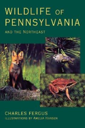 Fergus / Hansen |  Wildlife of Pennsylvania | eBook | Sack Fachmedien