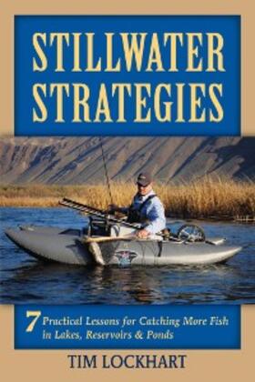 Lockhart |  Stillwater Strategies | eBook | Sack Fachmedien