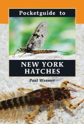 Weamer |  Pocketguide to New York Hatches | eBook | Sack Fachmedien