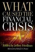 Friedman |  What Caused the Financial Crisis | eBook | Sack Fachmedien