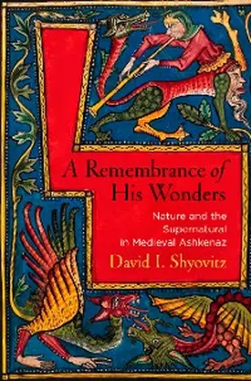 Shyovitz |  A Remembrance of His Wonders | eBook | Sack Fachmedien