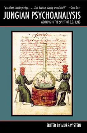 Stein |  Jungian Psychoanalysis | eBook | Sack Fachmedien