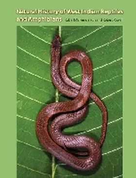 Henderson / Powell |  Natural History of West Indian Reptiles and Amphibians | Buch |  Sack Fachmedien