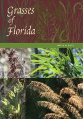 Hall | Grasses of Florida | Buch | 978-0-8130-5605-0 | sack.de