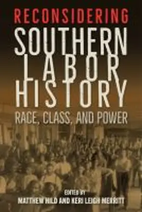 Hild / Merritt |  Reconsidering Southern Labor History | Buch |  Sack Fachmedien