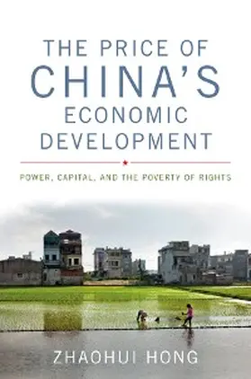Hong |  The Price of China's Economic Development | eBook | Sack Fachmedien