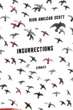 Scott |  Insurrections | eBook | Sack Fachmedien