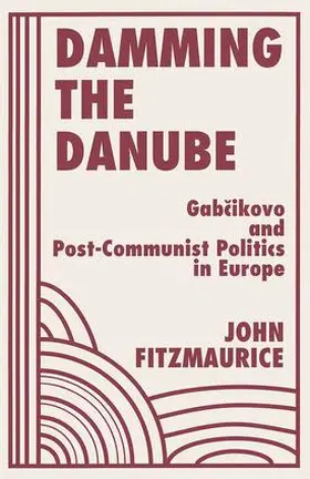 Fitzmaurice |  Damming The Danube | Buch |  Sack Fachmedien