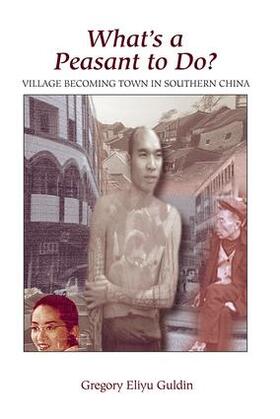 Guldin |  What's A Peasant To Do? Village Becoming Town In Southern China | Buch |  Sack Fachmedien