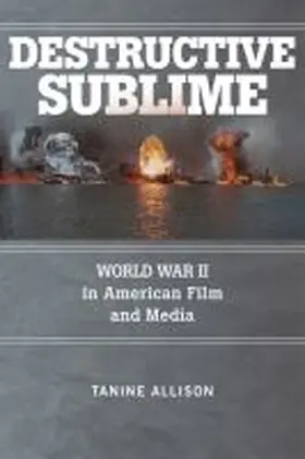  Destructive Sublime | Buch |  Sack Fachmedien