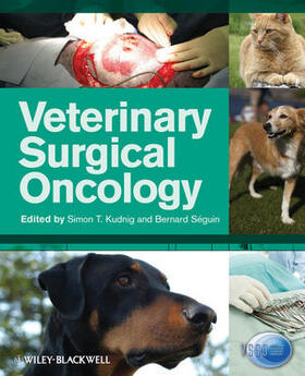 Kudnig / Séguin / Seguin | Veterinary Surgical Oncology | Buch | 978-0-8138-0542-9 | sack.de