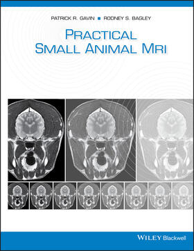 Gavin / Bagley | Practical Small Animal MRI | Buch | 978-0-8138-0607-5 | sack.de