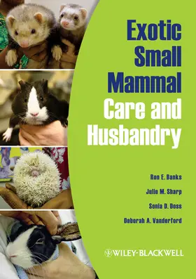 Banks / Sharp / Doss |  Small Exotic Mammals for Vet T | Buch |  Sack Fachmedien