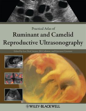 DesCôteaux / Colloton / Gnemmi | Practical Atlas of Ruminant and Camelid Reproductive Ultrasonography | Buch | 978-0-8138-1551-0 | sack.de