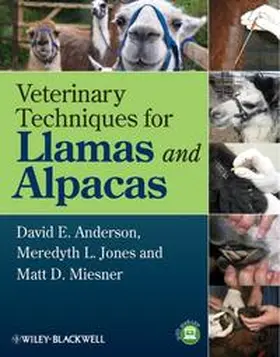 Anderson / Jones / Miesner |  Veterinary Techniques for Llamas and Alpacas | Buch |  Sack Fachmedien