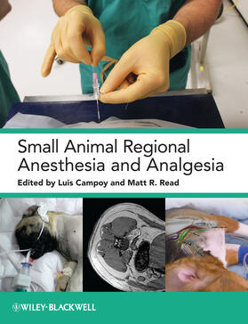Campoy / Read | Small Animal Regional Anesthesia and Analgesia | Buch | 978-0-8138-1994-5 | sack.de