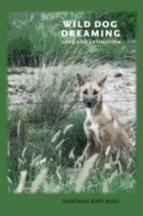 Rose |  Wild Dog Dreaming | Buch |  Sack Fachmedien