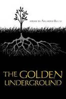 Butts |  The Golden Underground | Buch |  Sack Fachmedien