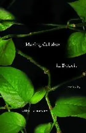 Hernandez |  Making Callaloo in Detroit | Buch |  Sack Fachmedien