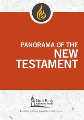Binz |  Panorama of the New Testament | eBook | Sack Fachmedien