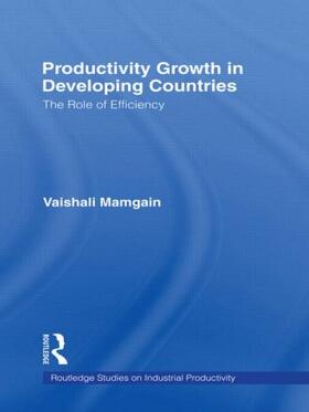 Mamgain | Productivity Growth in Developing Countries | Buch | 978-0-8153-3551-1 | sack.de
