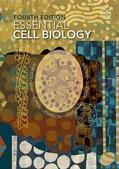 Alberts / Bray / Hopkin |  Essential Cell Biology | Buch |  Sack Fachmedien