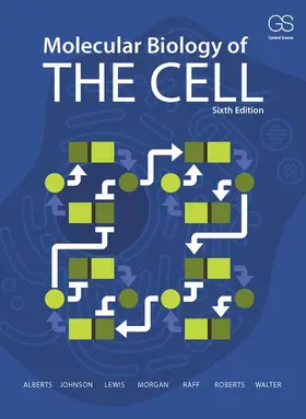Alberts |  Molecular Biology of the Cell | Buch |  Sack Fachmedien