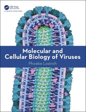 Lostroh | Molecular and Cellular Biology of Viruses | Buch | 978-0-8153-4523-7 | sack.de