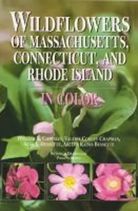 Chapman / Bessette |  Wildflowers of Massachusetts, Connecticut, and Rhode Island in Color | Buch |  Sack Fachmedien