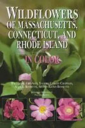 Bessette / Chapman |  Wildflowers of Maine, New Hampshire, and Vermont | Buch |  Sack Fachmedien