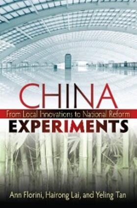 Florini / Lai / Tan |  China Experiments | eBook | Sack Fachmedien