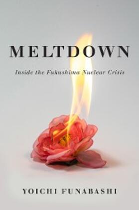Funabashi |  Meltdown | eBook | Sack Fachmedien