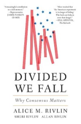 Rivlin |  Divided We Fall | eBook | Sack Fachmedien