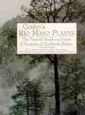 Martin / Yetman / Fishbein |  Gentry's Rio Mayo Plants | Buch |  Sack Fachmedien