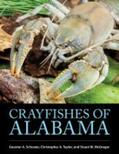 Schuster / Taylor / McGregor |  Crayfishes of Alabama | Buch |  Sack Fachmedien