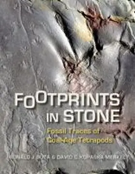 Buta / Kopaska-Merkel |  Footprints in Stone | Buch |  Sack Fachmedien