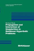 Beals |  Propagation and Interaction of Singularities in Nonlinear Hyperbolic Problems | Buch |  Sack Fachmedien