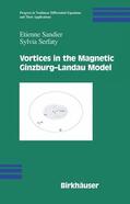 Sandier / Serfaty |  Vortices in the Magnetic Ginzburg-Landau Model | Buch |  Sack Fachmedien