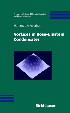 Aftalion | Vortices in Bose-Einstein Condensates | E-Book | sack.de