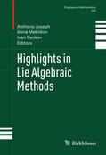Joseph / Melnikov / Penkov |  Highlights in Lie Algebraic Methods | Buch |  Sack Fachmedien