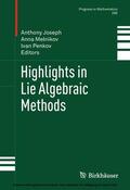 Joseph / Melnikov / Penkov |  Highlights in Lie Algebraic Methods | eBook | Sack Fachmedien