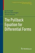 Csató / Kneuss / Dacorogna |  The Pullback Equation for Differential Forms | Buch |  Sack Fachmedien