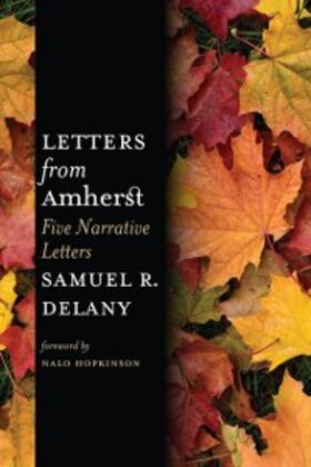 Delany |  Letters from Amherst | eBook | Sack Fachmedien