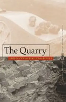Grossinger |  Quarry | Buch |  Sack Fachmedien